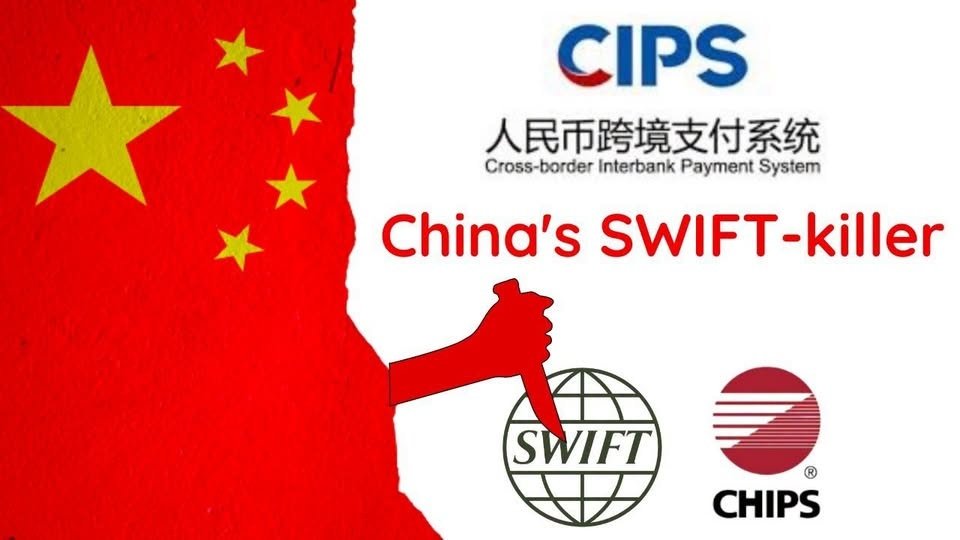 CIPS və SPFS nəyi dəyişir?
