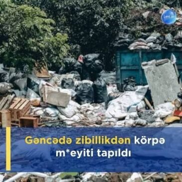 Gəncədə zibil poliqonunda ölü döl aşkarlanıb