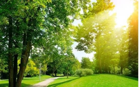 Bu gün hava necədir?