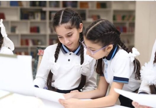 Yeni təmayül modeli nə vəd edir?