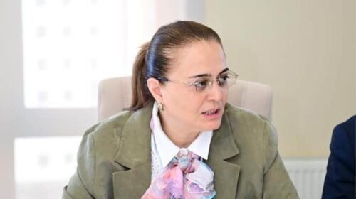 Tarixi qərar: Azərbaycanda kamança üçün ilk milli standartlar qəbul edildi