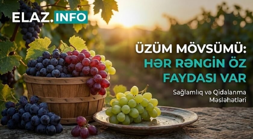 Hər Rəngin Öz Faydası Var: